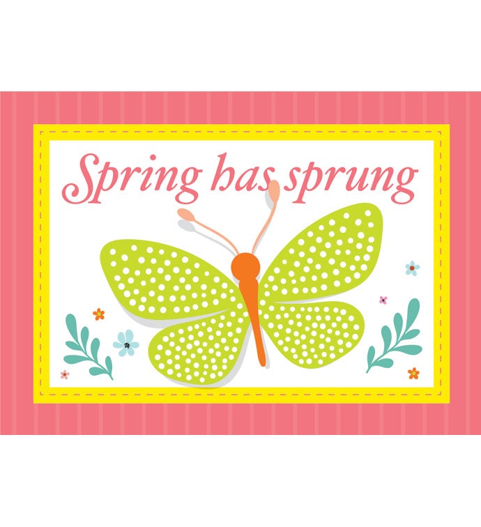 Packed With Pop® Spring Has Sprung Butterfly
